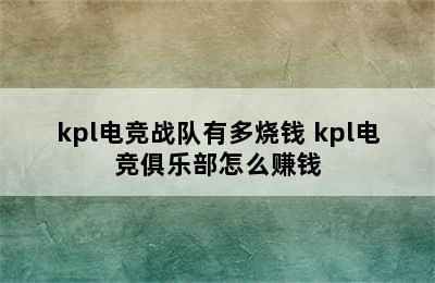 kpl电竞战队有多烧钱 kpl电竞俱乐部怎么赚钱